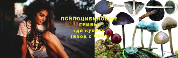 спиды Дмитров