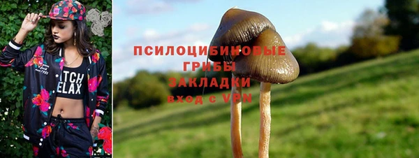 MDMA Дмитриев