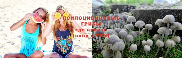 спиды Дмитров