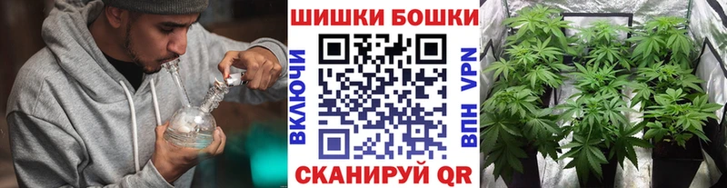 Канабис сатива  Купить закладки  Кашин 